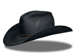 Clockwork Cowboy